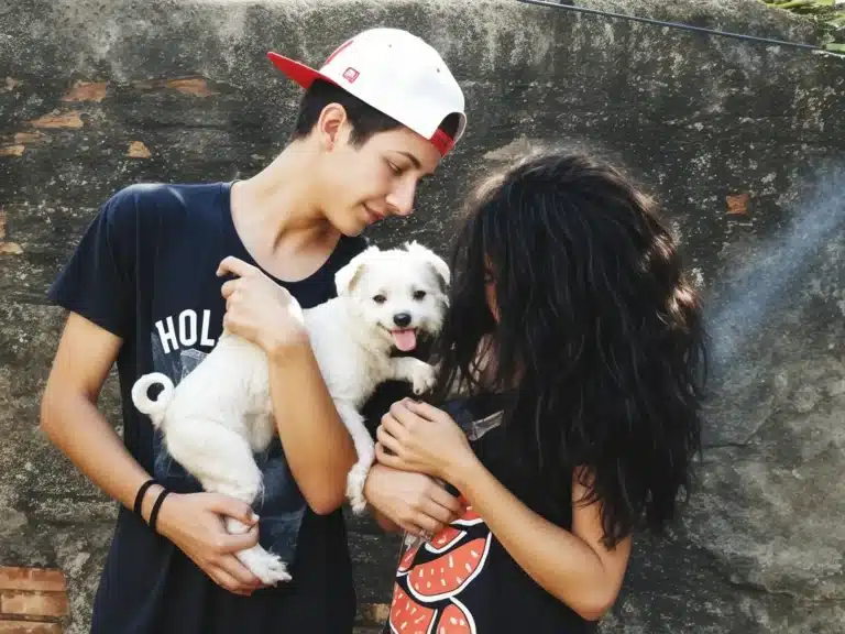 How Pet Lovers Are Using Shih Tzu Tokens to Support Animal Welfare